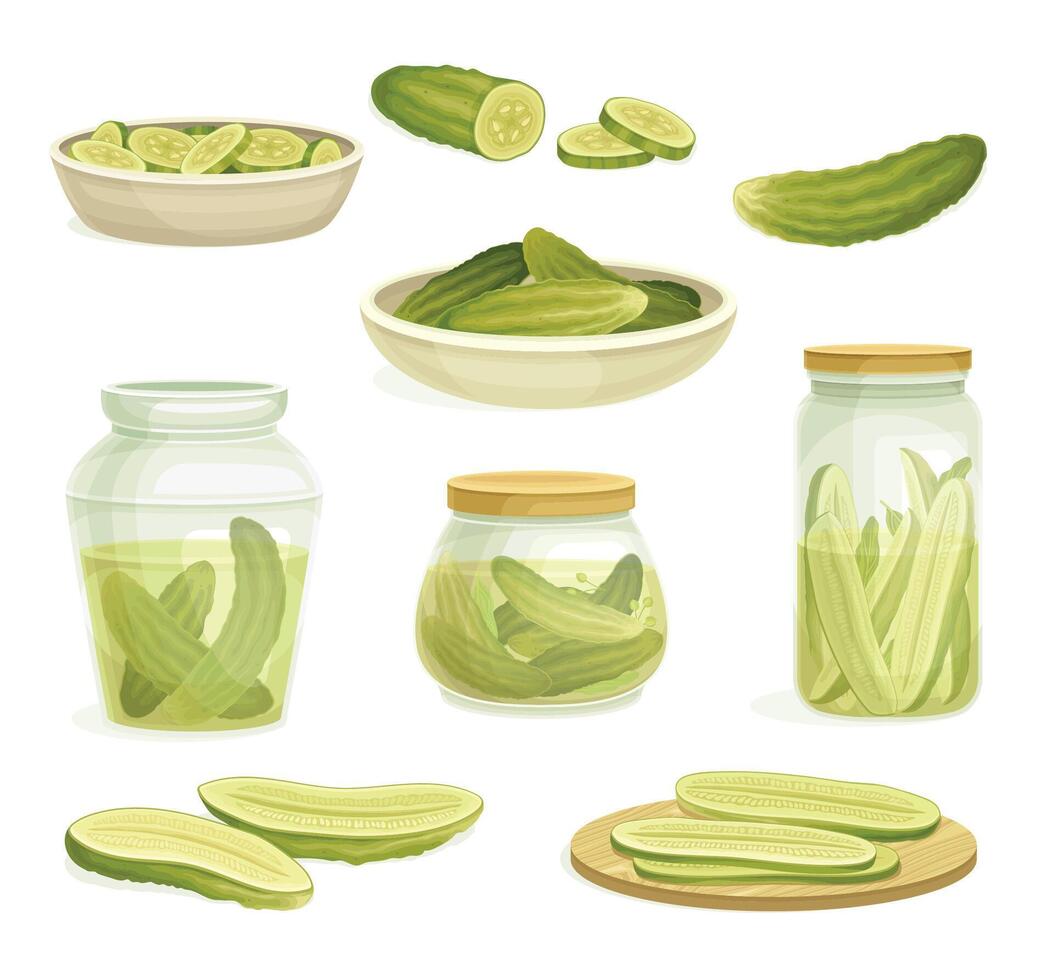 Homemade Pickled Cucumber or Gherkin Canned in Brine and Rested on Plate Set vector