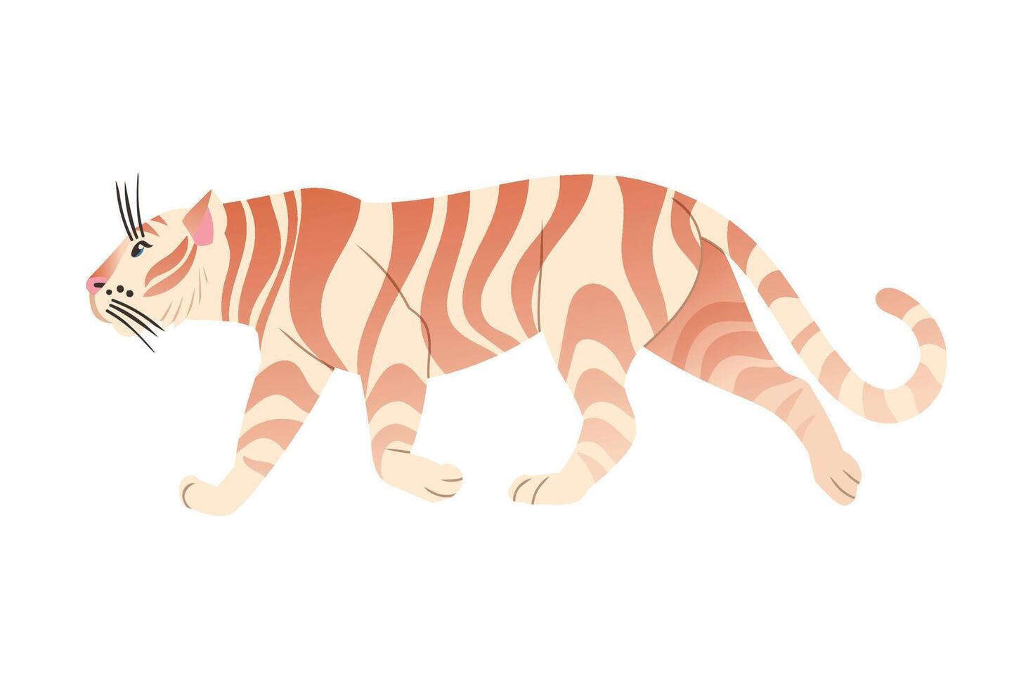 White Bengal tiger animal. Side view of big wild cat illustration vector