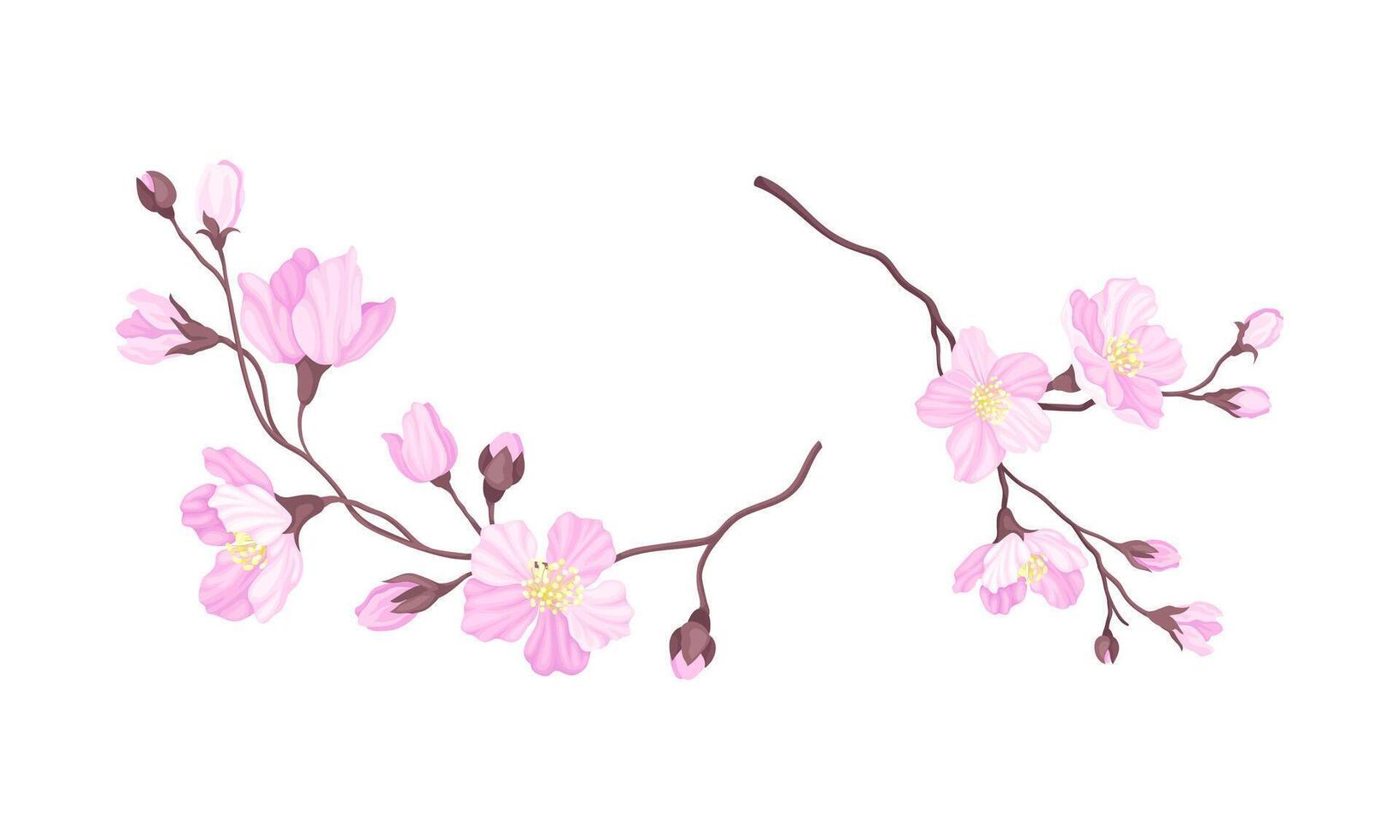 Set of branches of blossoming cherry tree. Sakura twigs with pink flowers illustration vector