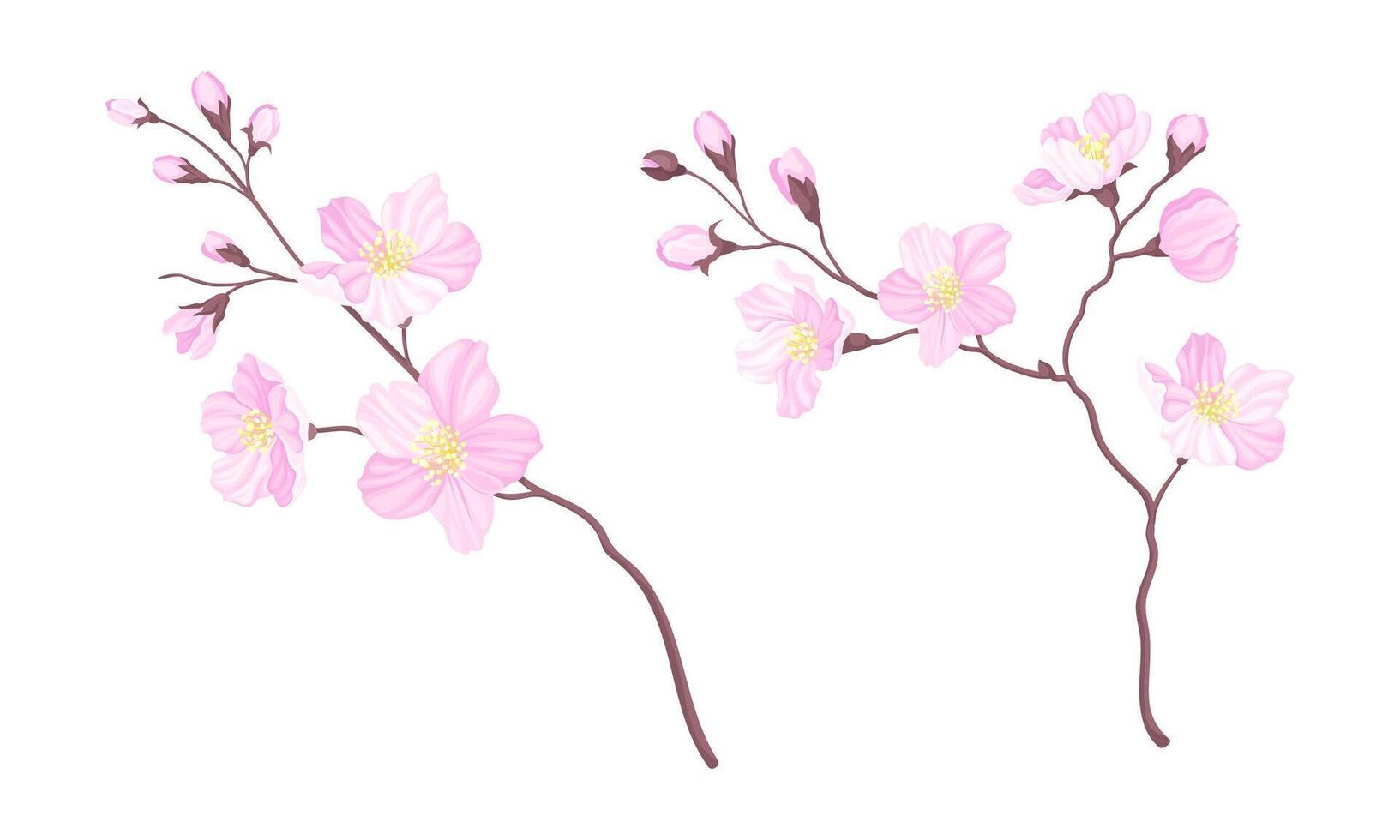 Set of branches of blossoming cherry tree. Sakura twigs with flower buds illustration vector