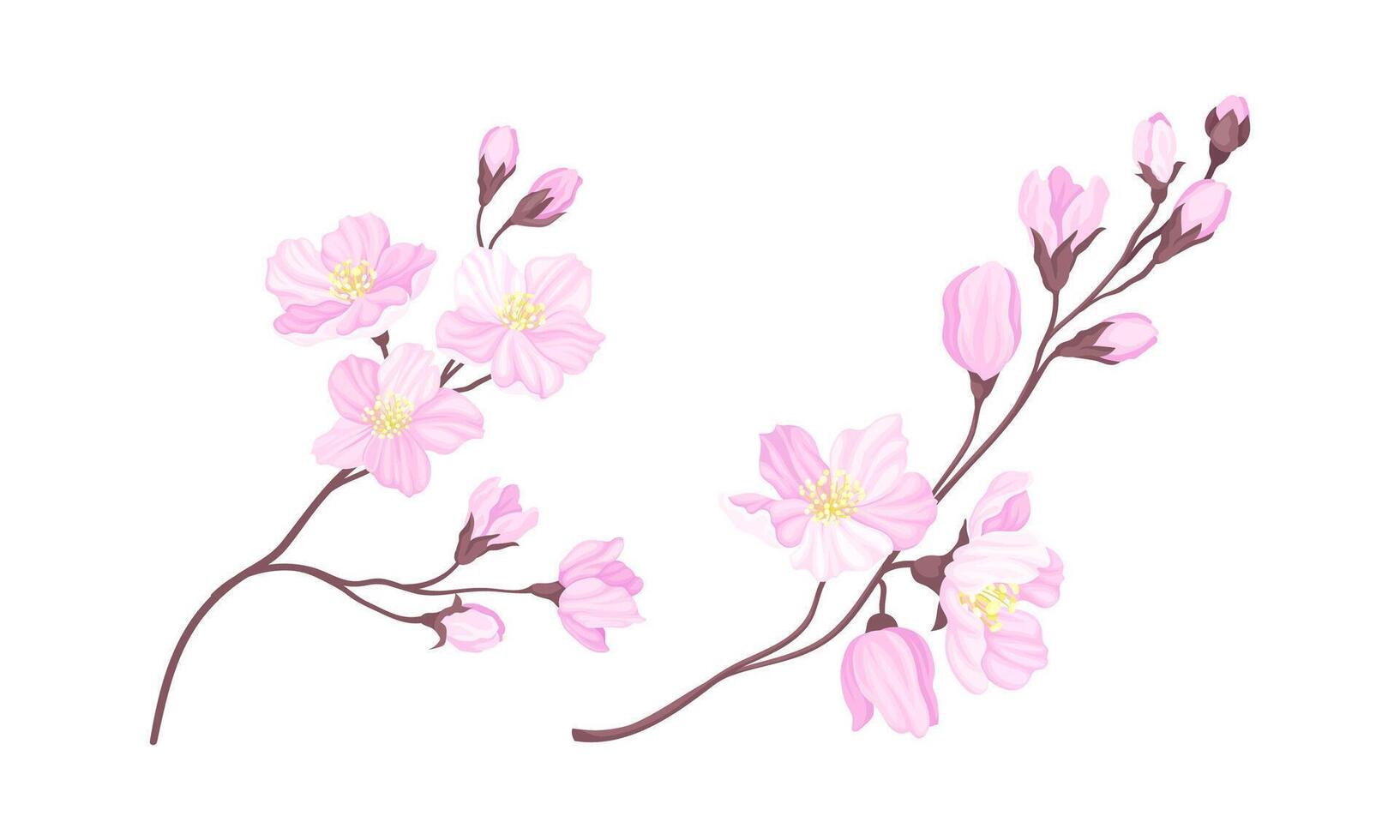 Sakura twigs with pink flowers set. Blooming cherry tree branches illustration vector