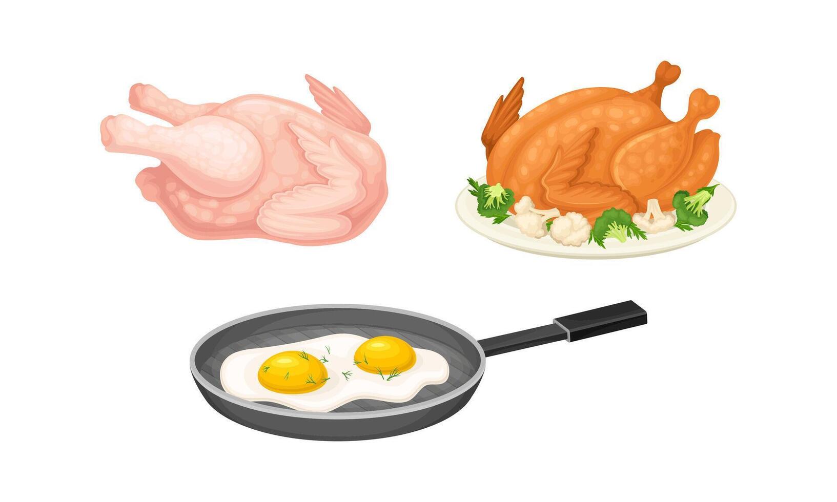 Eggs, raw and fried chicken illustration on white background vector