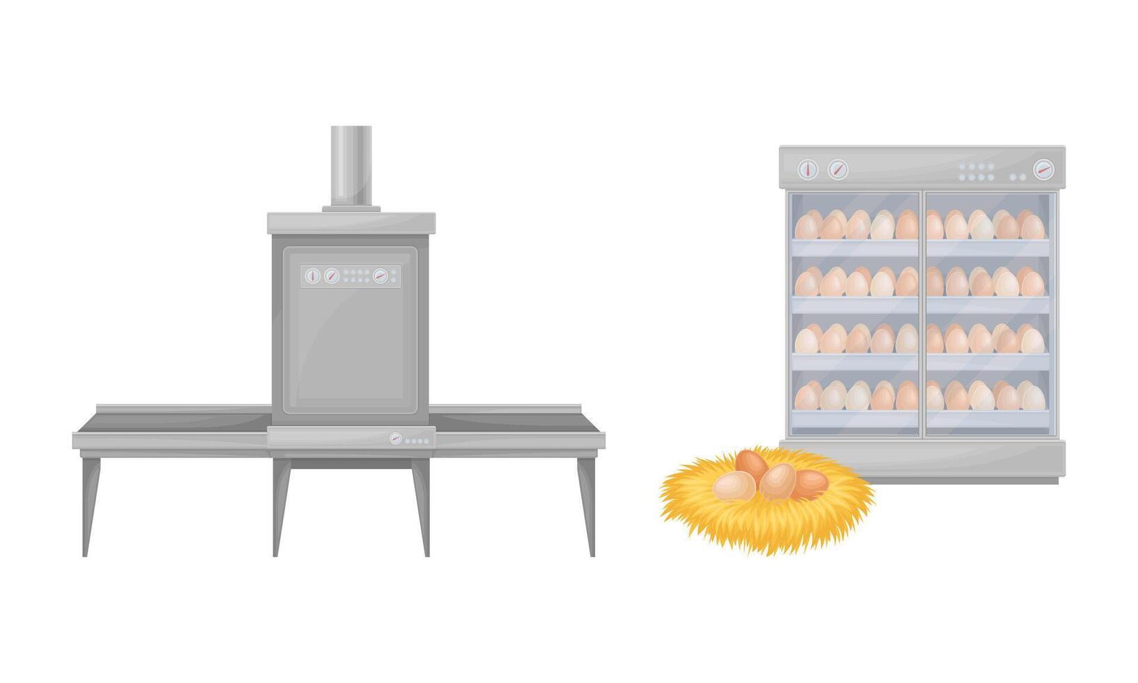 Egg process production in chicken poultry factory illustration vector