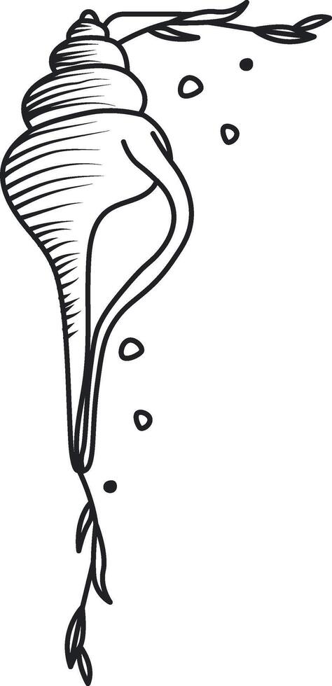 Seashell Marine Corner Border vector