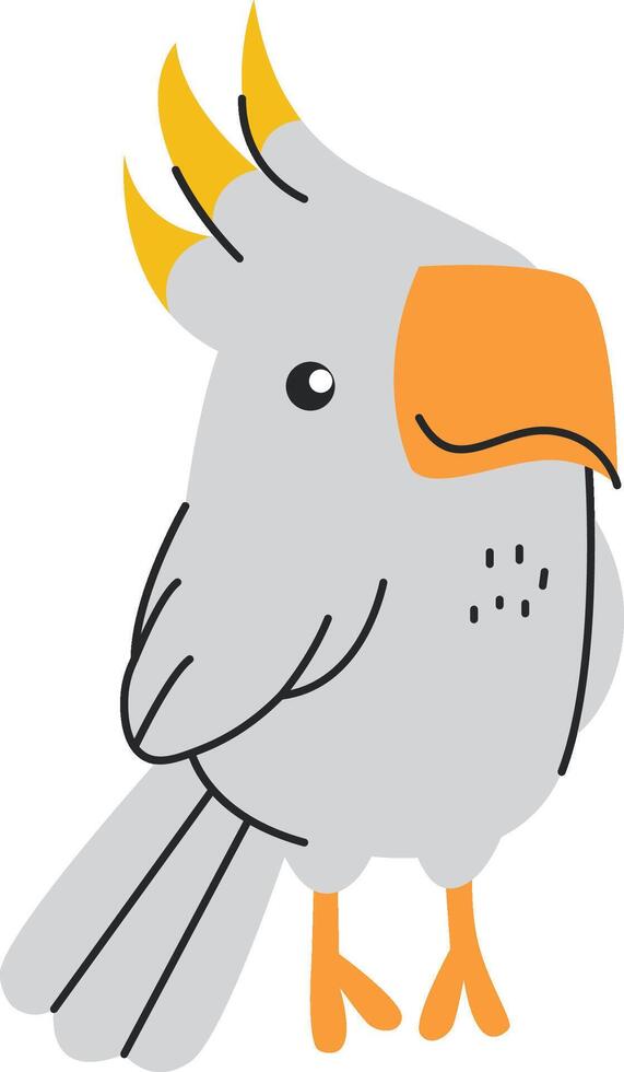 Baby Parrot Bird Animal vector