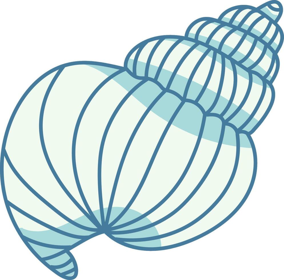 Seashell Line Drawing vector