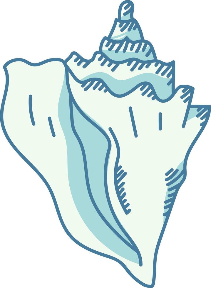 Detailed Seashell Sketch vector