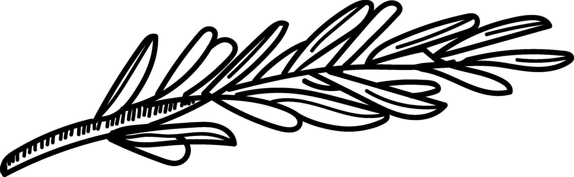 Hand-drawn Herb Sketch vector