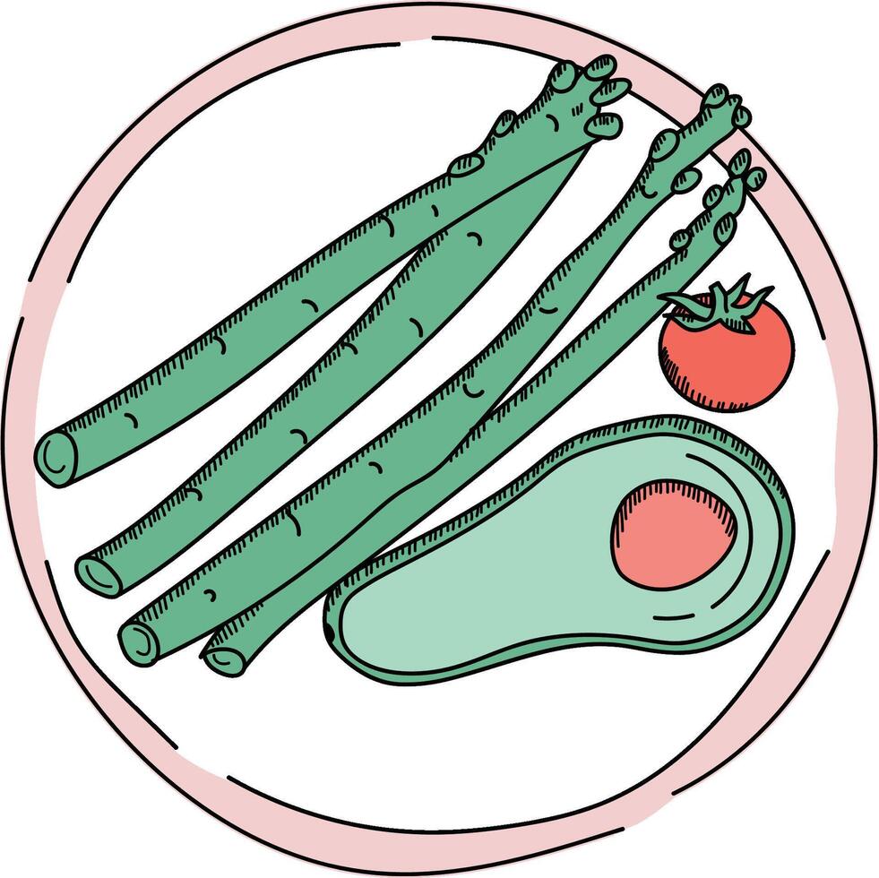 Sketch Plate with Vegetables vector
