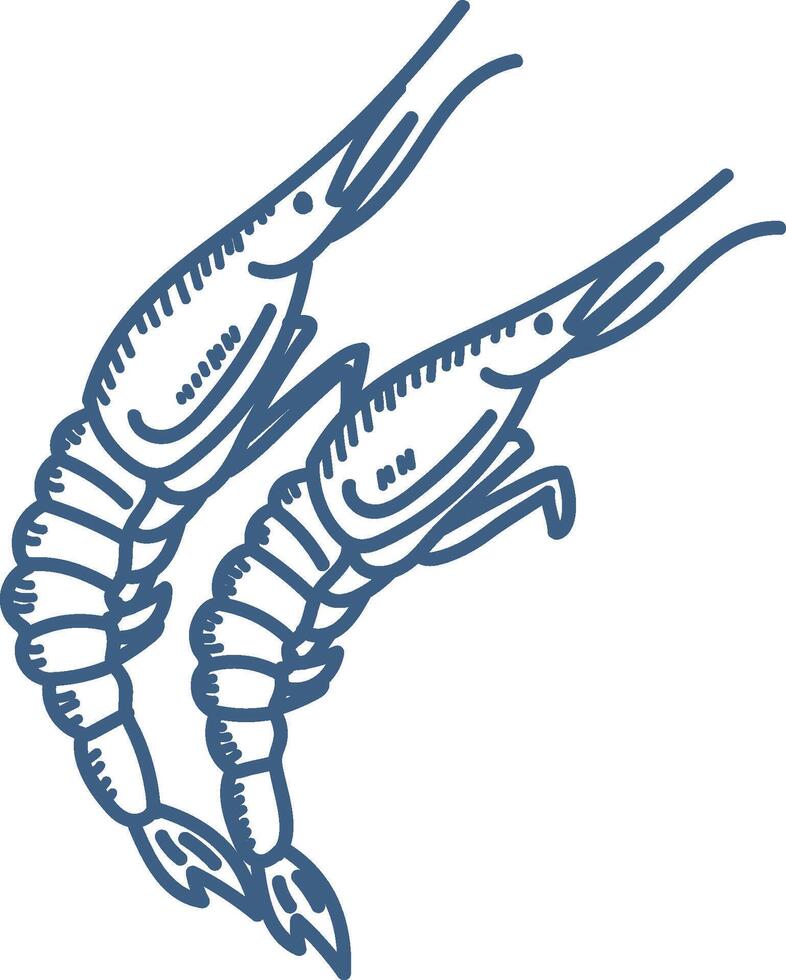Hand-Drawn Shrimp Duo vector