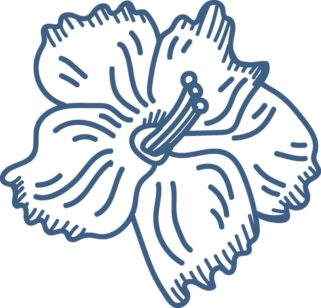 Hibiscus Flower Line Drawing vector