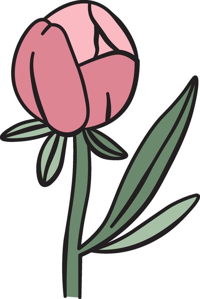 Peony Flower Bud with Leaves vector