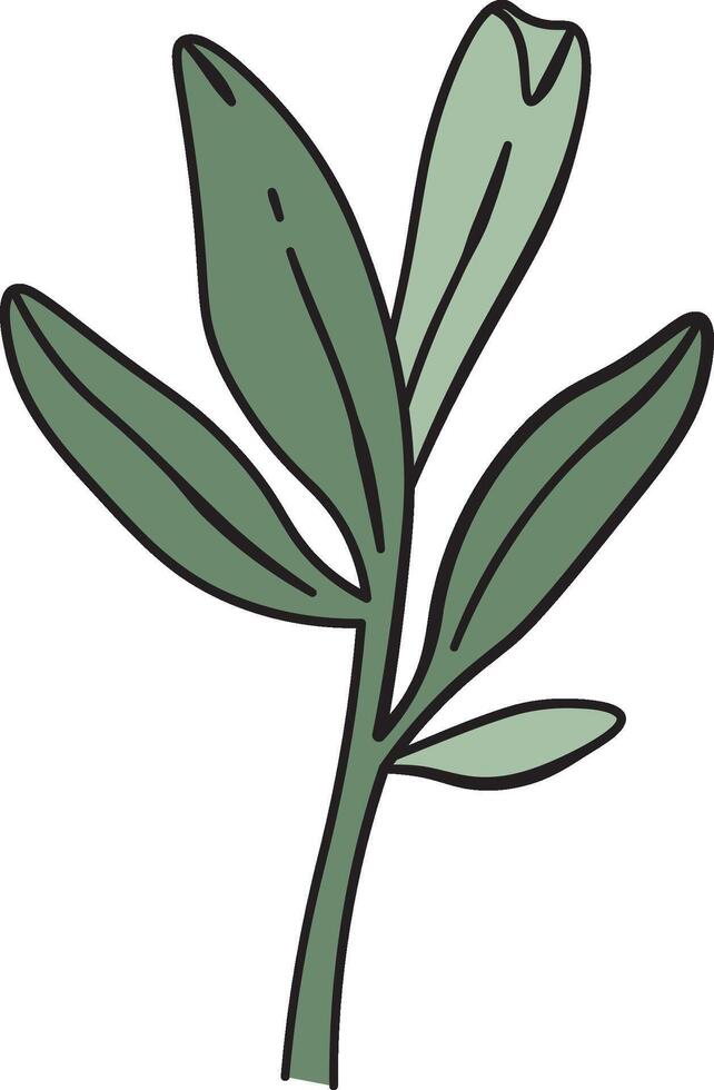 Simple Leafy Plant Drawing vector