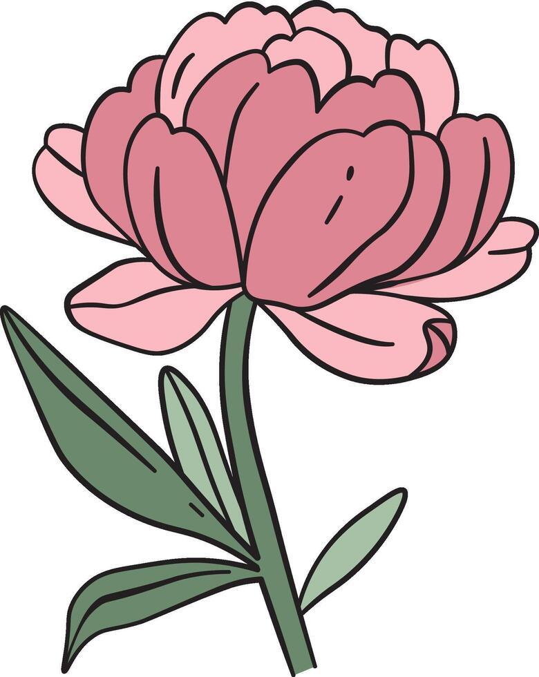Elegant Peony with Leaves vector