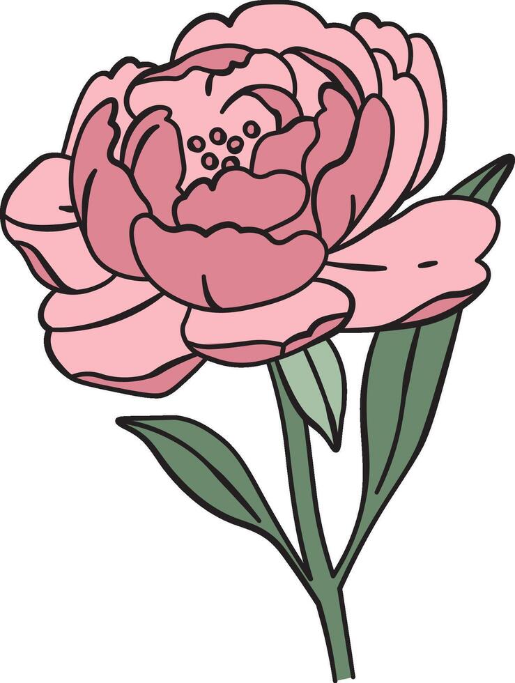 Elegant Peony with Green Leaves vector