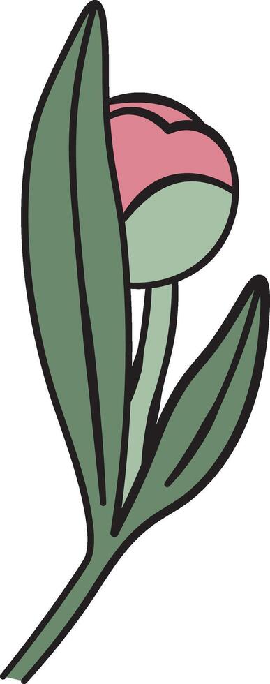Peony Bud with Leaves Element vector