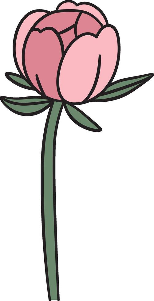Peony Flower with Green Stem vector