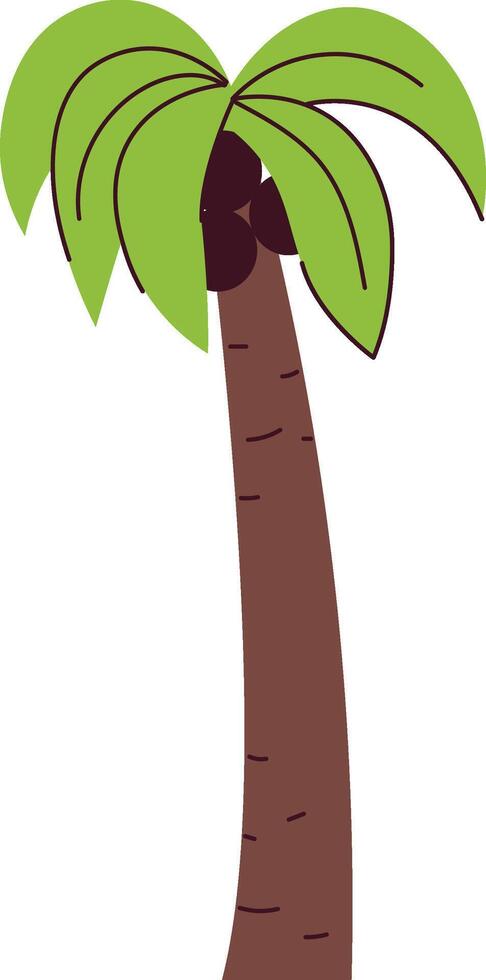 Palm Tree with Coconuts vector