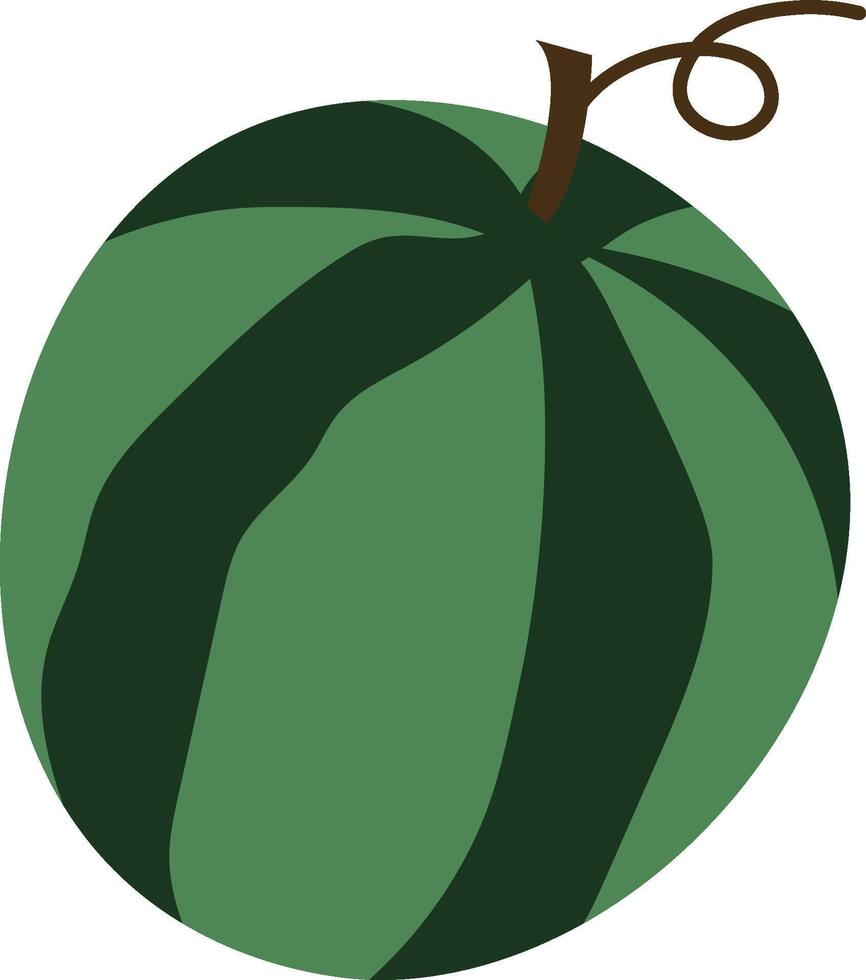 Abstract Watermelon with Stem vector