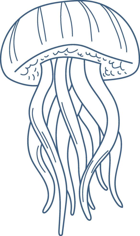 Jellyfish Line Drawing vector