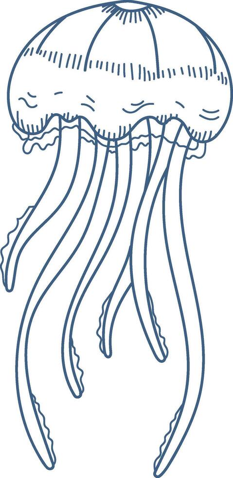 Hand-Drawn Jellyfish Sketch vector
