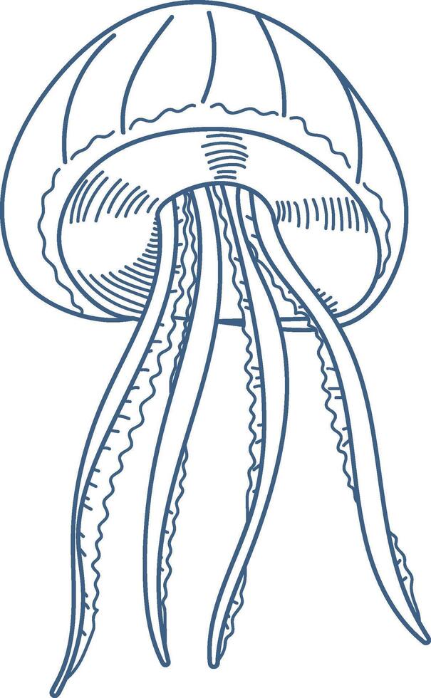 Jellyfish with Flowing Tentacles Element Design vector
