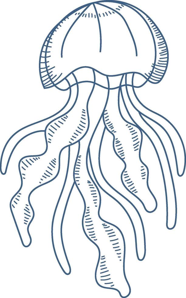 Line Art Jellyfish Sea vector