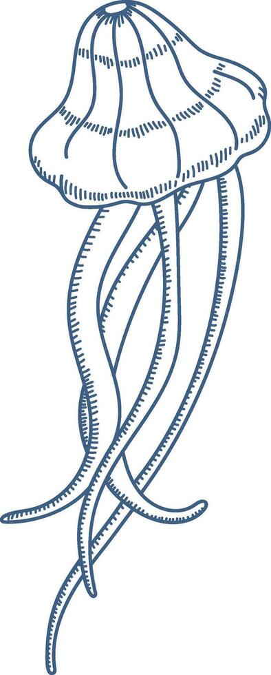 Jellyfish with Long Tentacles vector