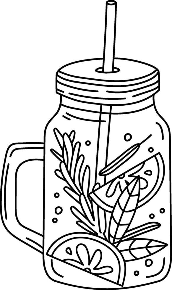 Mason Jar with Citrus and Herbs Sketch vector
