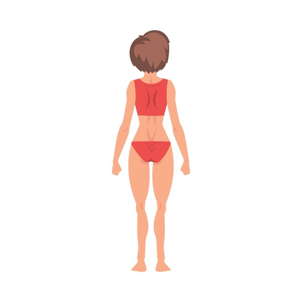 Half-Undressed Female Standing Back View and Making Roentgen Illustration vector