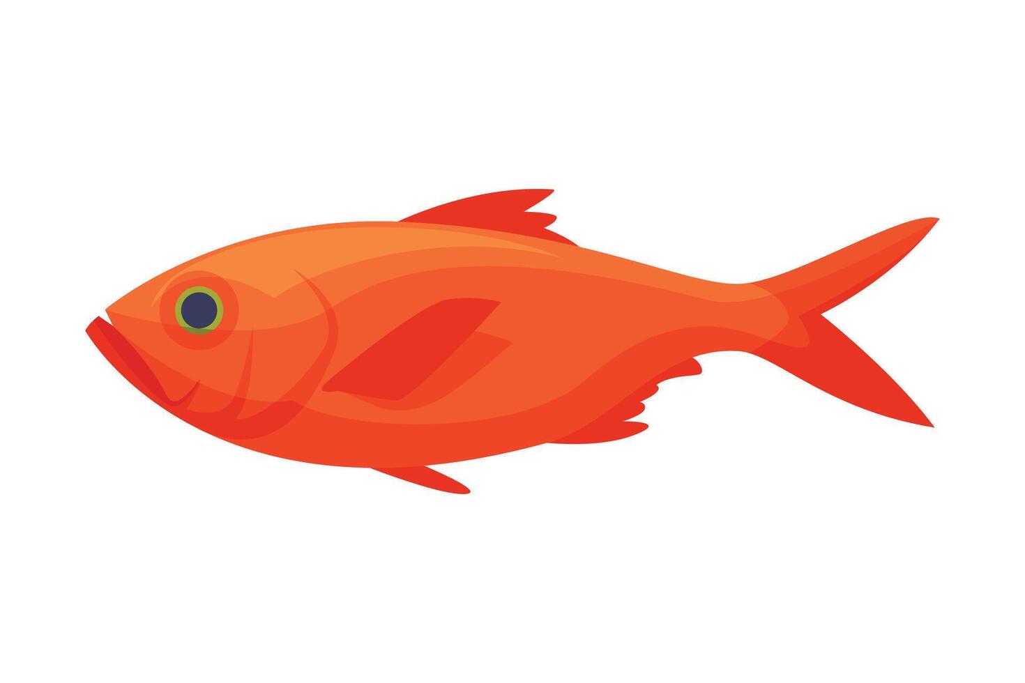 Red Koi Carp Freshwater Fish, Fresh Aquatic Fish Species Cartoon Illustration vector