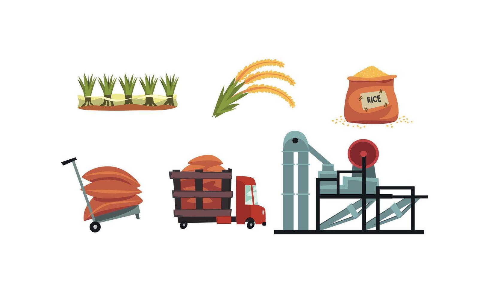 Rice Production Process Set, Cultivation, Harvesting and Drying Product Cartoon Style Illustration vector