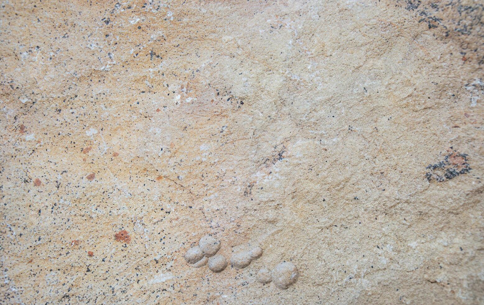 Close-up of rough beige sandstone texture with patterns photo