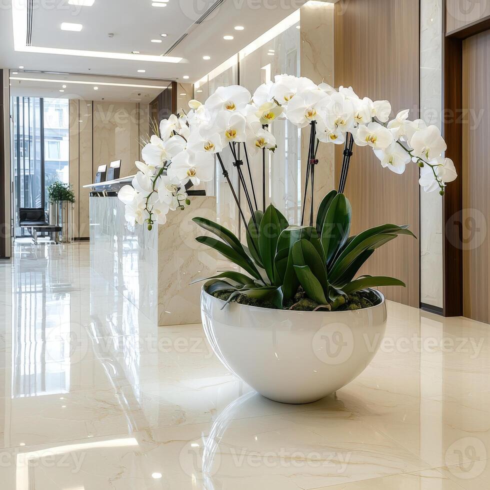 A white flower pot with white flowers in it photo