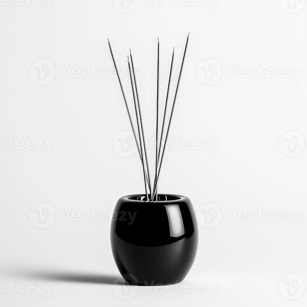 A black vase with sticks in it photo