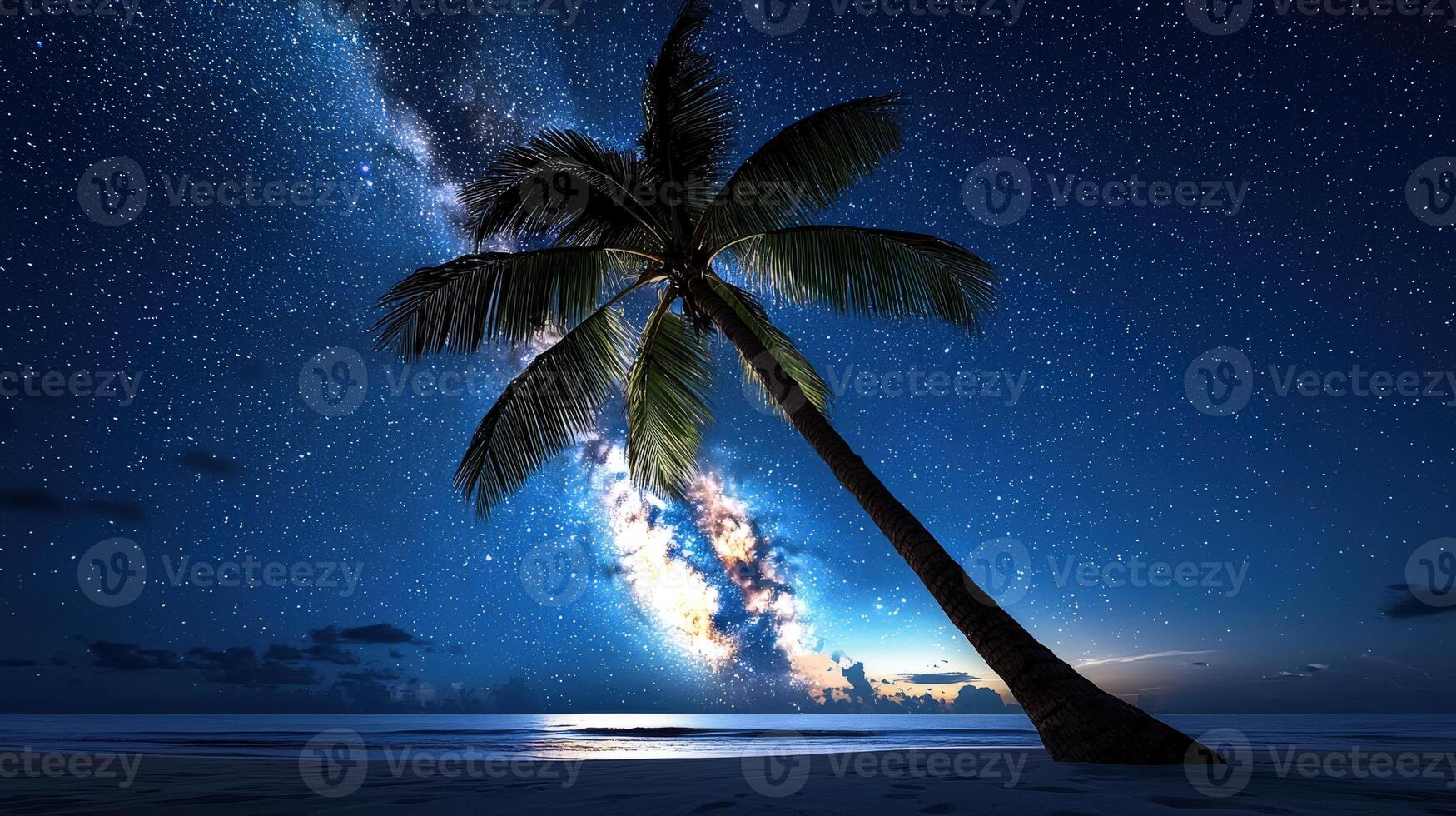 A palm tree on the beach at night with the milky photo