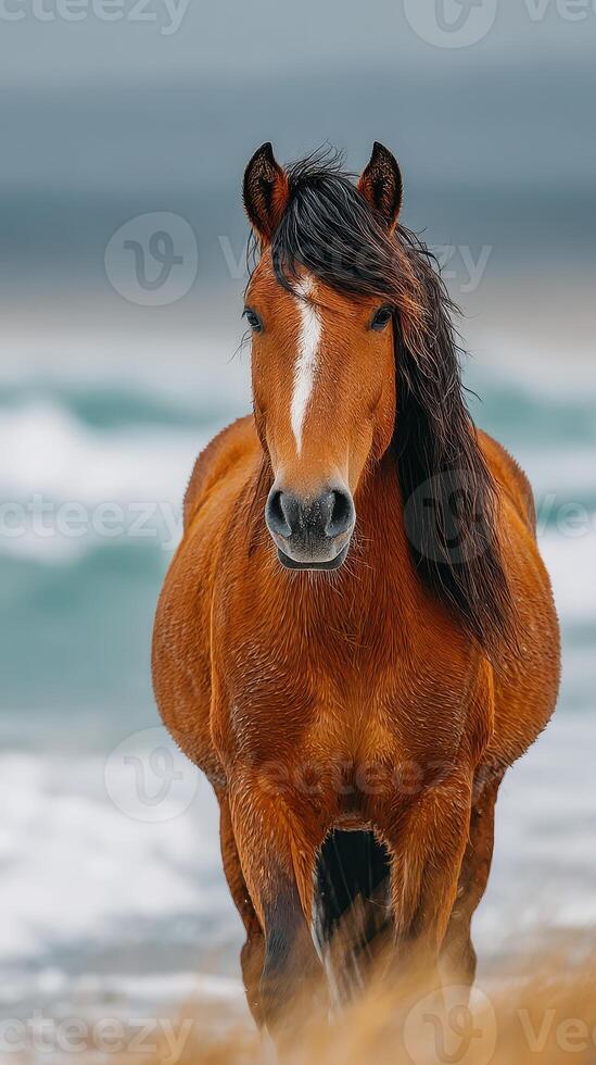 Horse walking along a sandy beach with waves in the background on a cloudy day photo