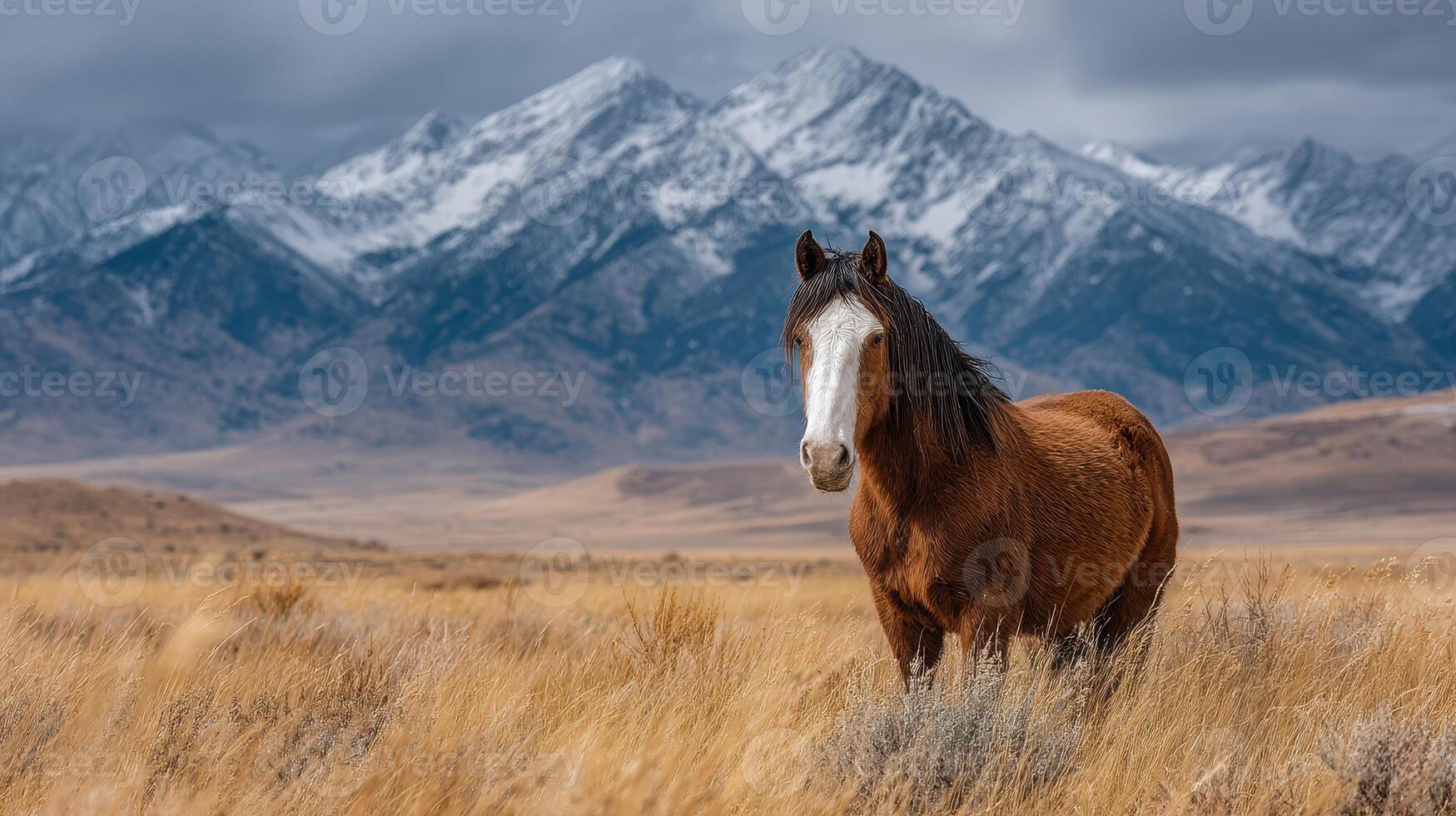 Majestic horse stands in tall grass with snow-capped mountains in background on a cloudy day photo