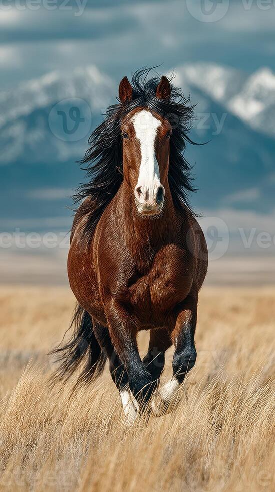 Strong horse gallops through a field with mountains in the background during a cloudy day photo