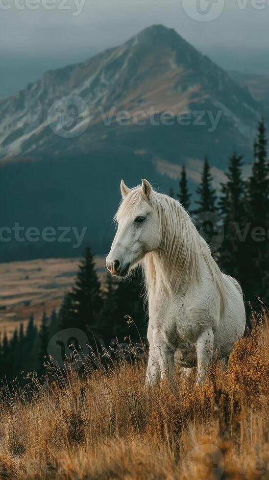 Majestic white horse stands on a grassy mountain slope at sunset near towering peaks and lush pine trees photo