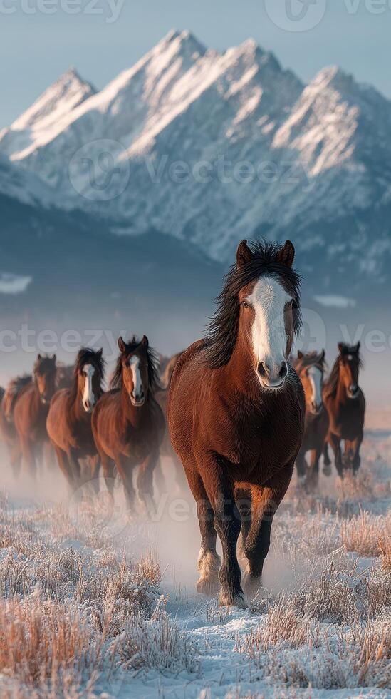 Majestic horses galloping through snow-covered landscape with mountains in the background during golden hour photo