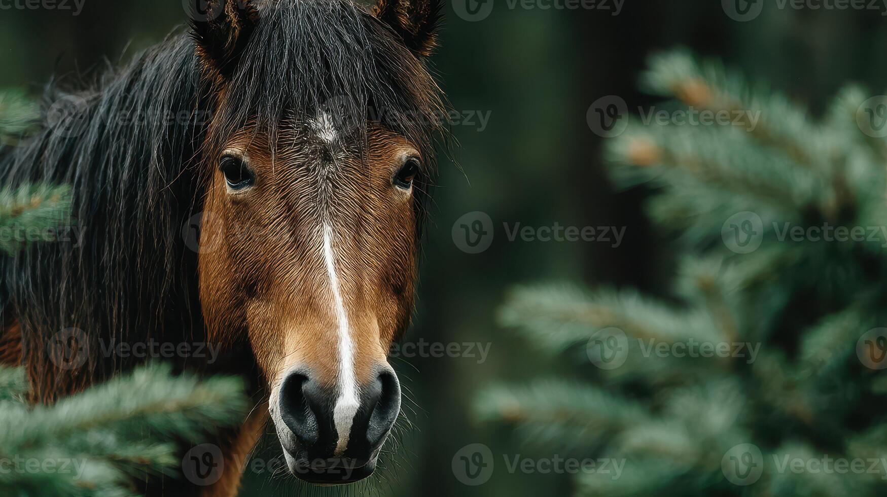Close-up view of a brown horse among evergreen trees in a forest setting during daylight hours photo