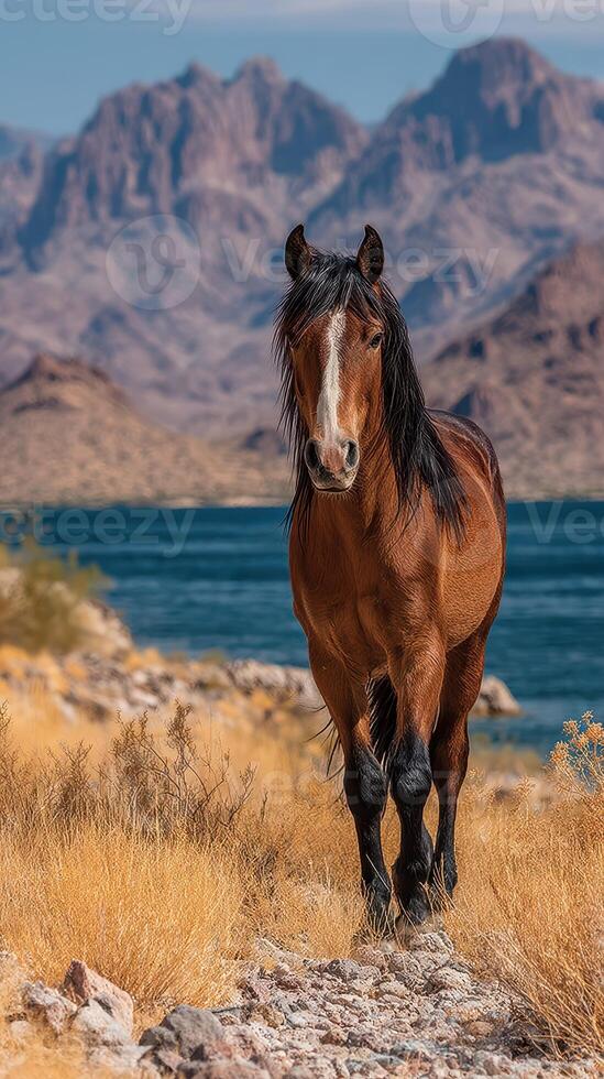 Wild horse walks along the shore of a tranquil lake surrounded by mountains on a sunny day photo