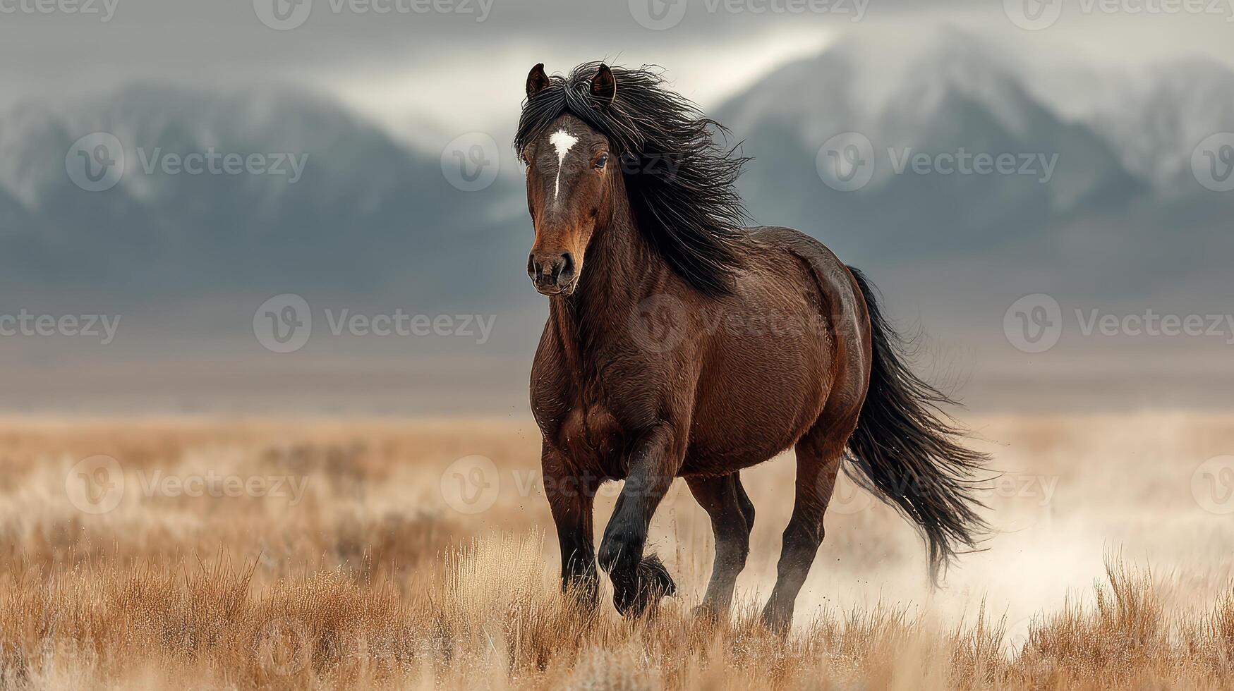 Horse galloping across a dusty landscape with mountains in the background during an overcast day photo