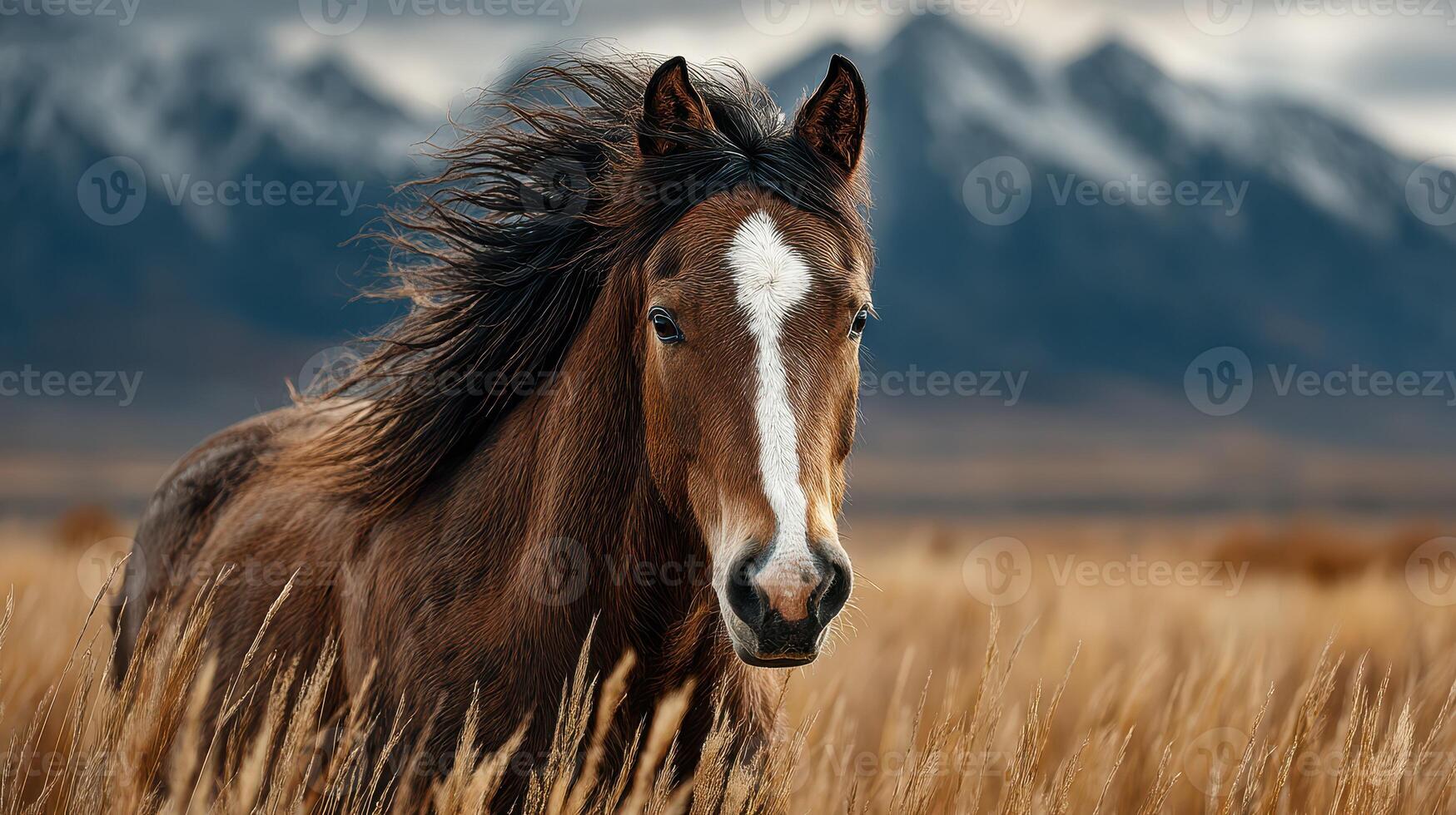 Majestic brown horse standing in golden grass with mountains in the background during a calm afternoon photo