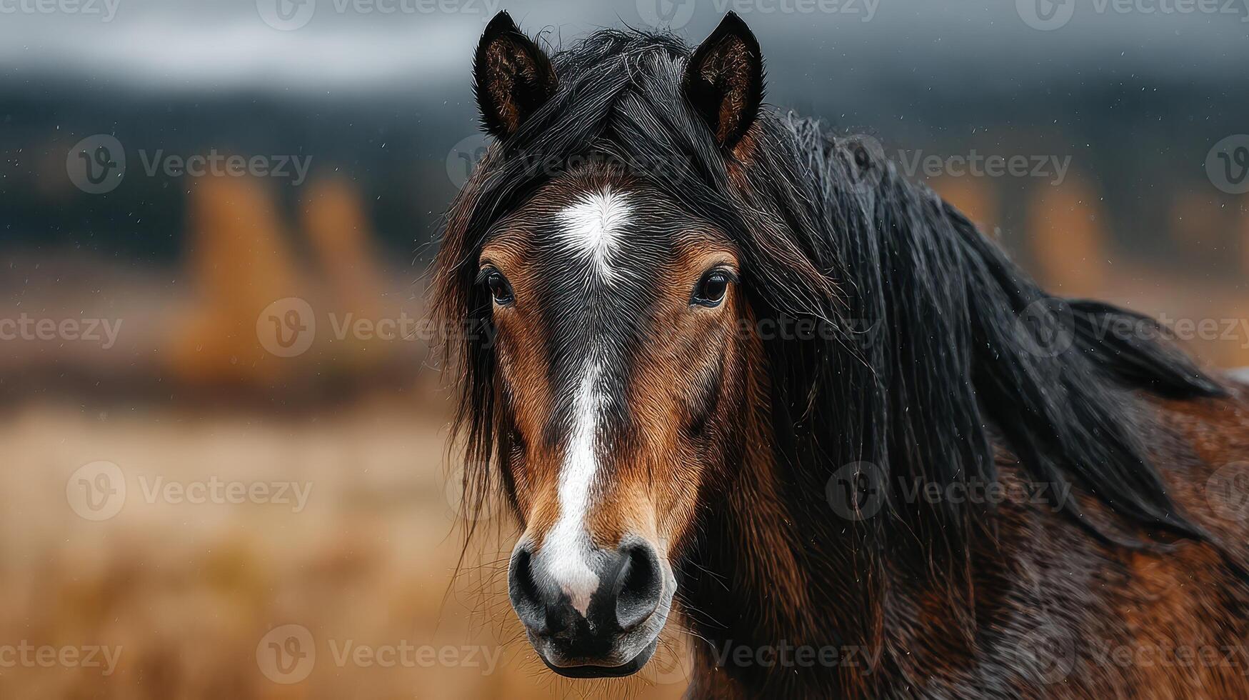 Majestic brown horse with a flowing mane in a serene field during a cloudy afternoon photo