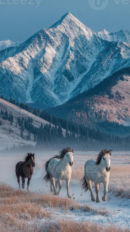 Majestic horses running through a frosty meadow with snow-capped mountains in the background during early morning light photo