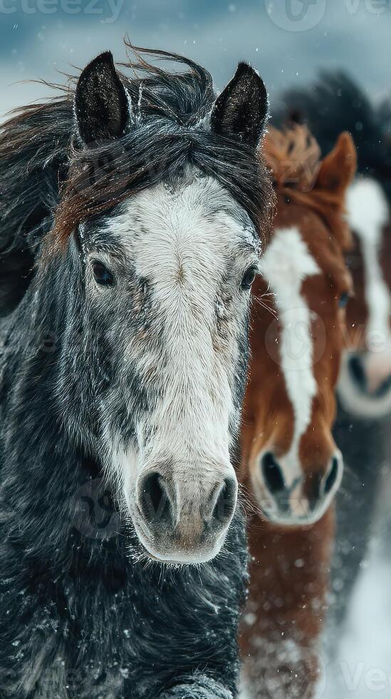 Horses running through the snow in a picturesque winter landscape with blurred background photo