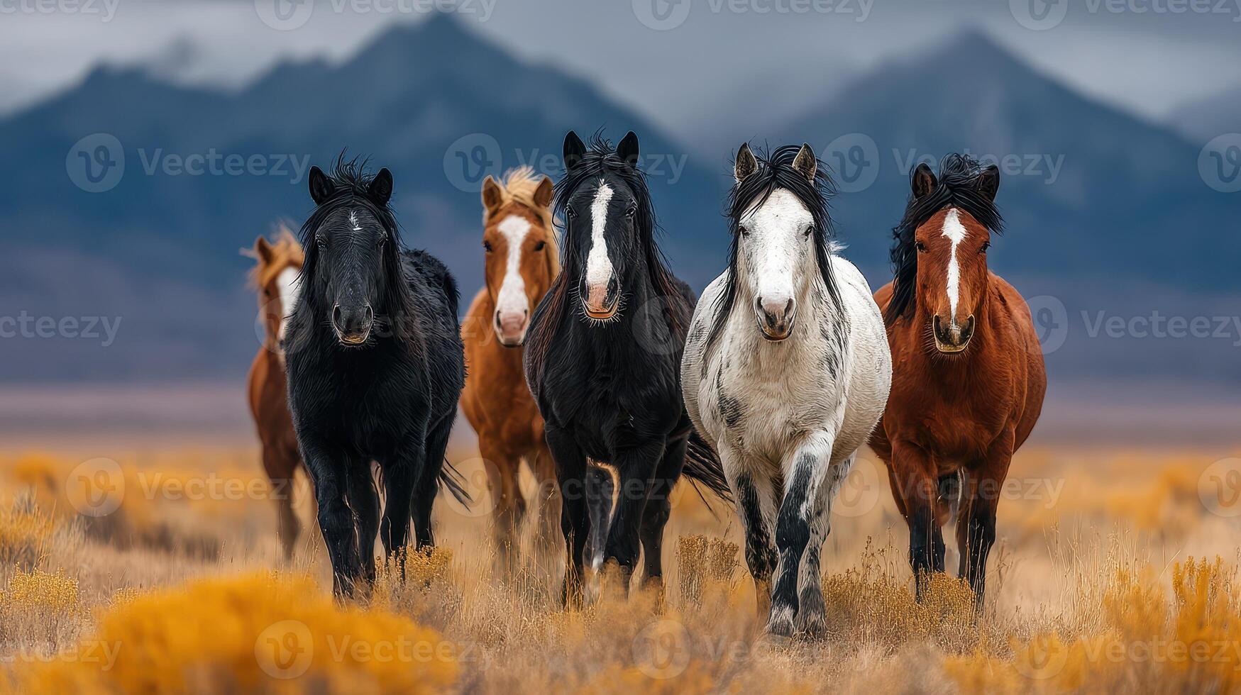 Wild horses galloping in an open field during a cloudy afternoon near rugged mountains photo