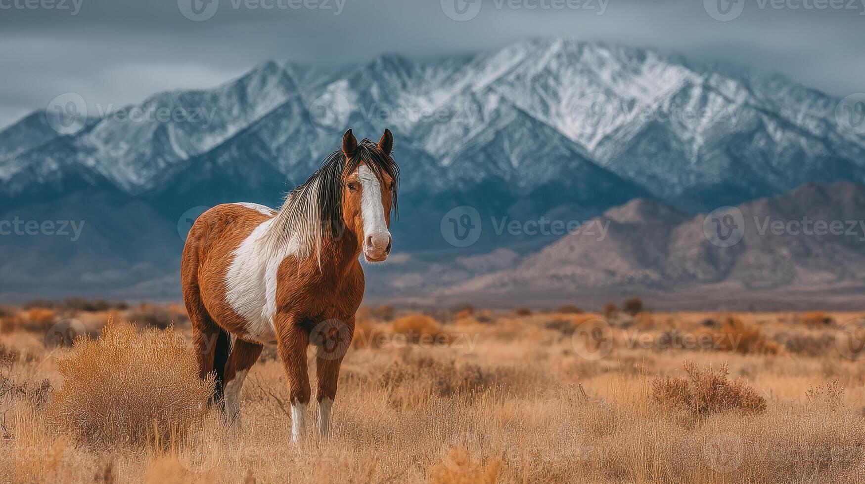 Horse standing in a golden field with snow-capped mountains in the background during a cloudy day photo